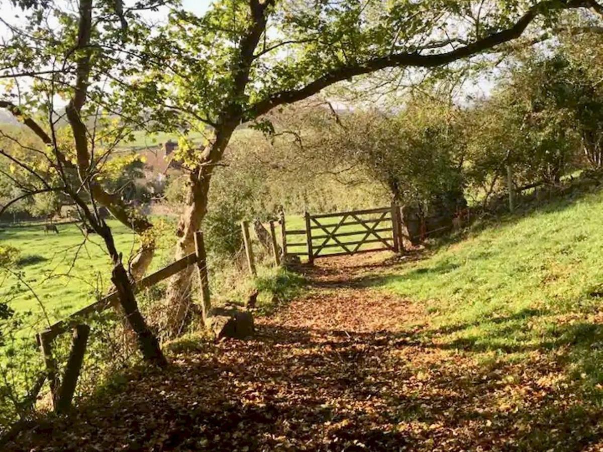 Pass The Keys Goose Feather Barn, Wedmore Luxury Cottage For Two Eksteriør bilde